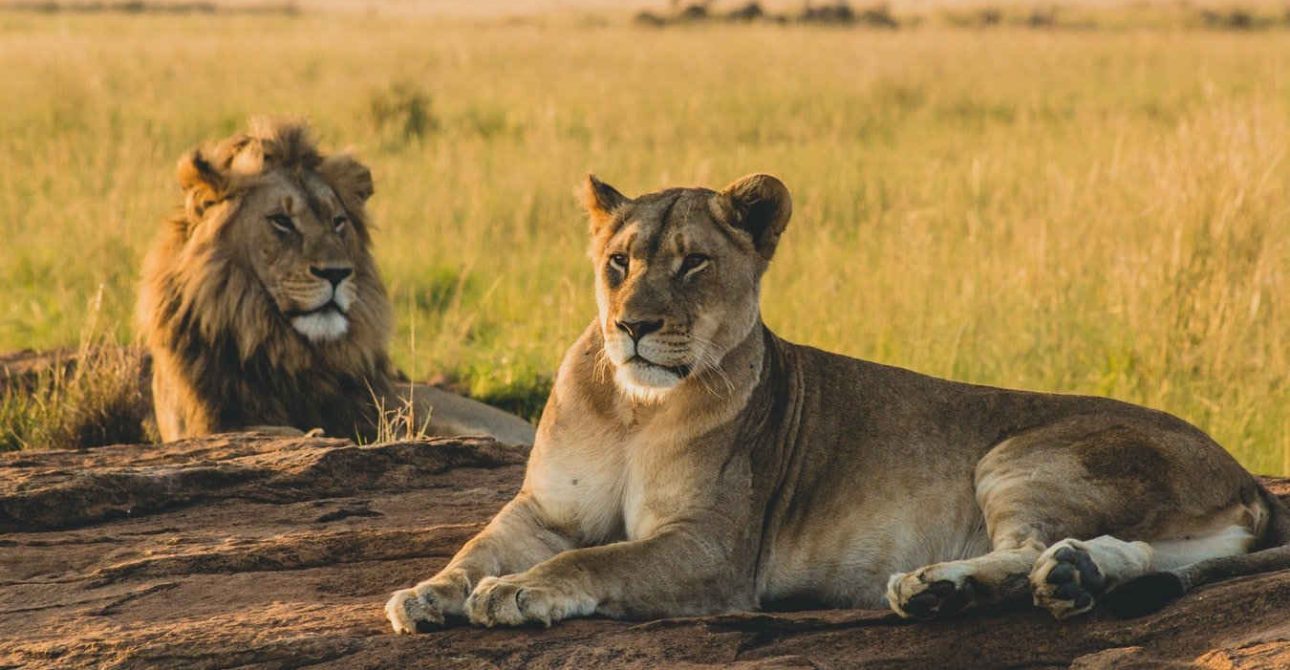 Ngorogoro Crater National Park