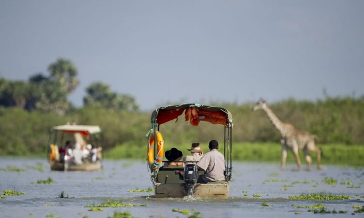 Boat safaris