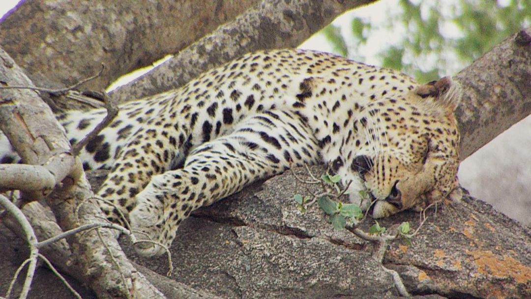 Lake Manyara National Park