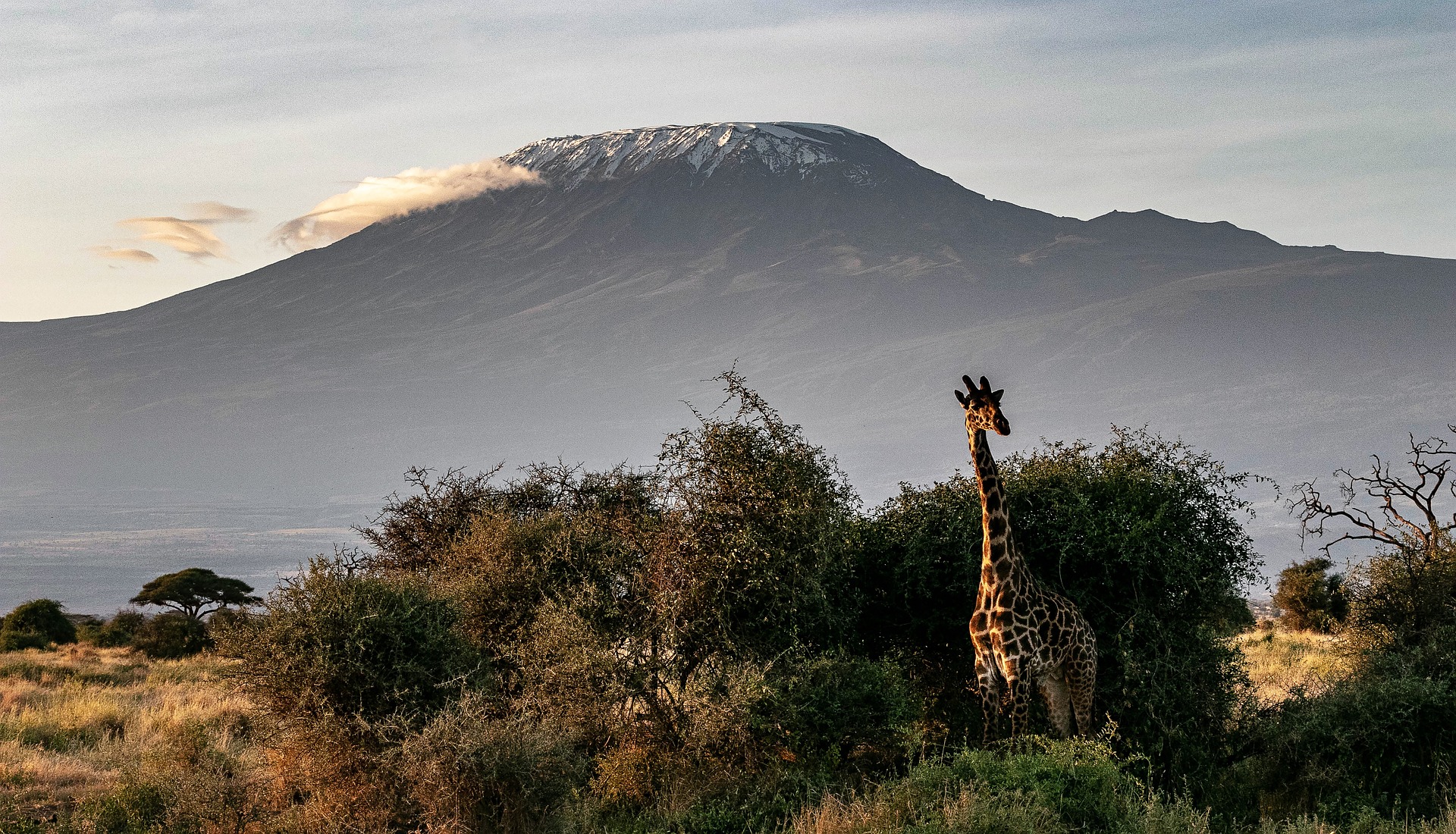 Kilimanjaro_africa-g3425bab05_1920 by herbert2512