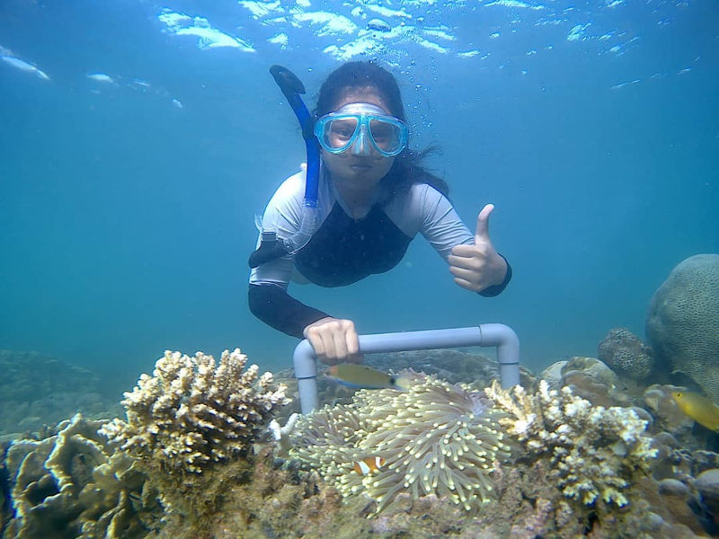 Zanzibar-Snorkelling