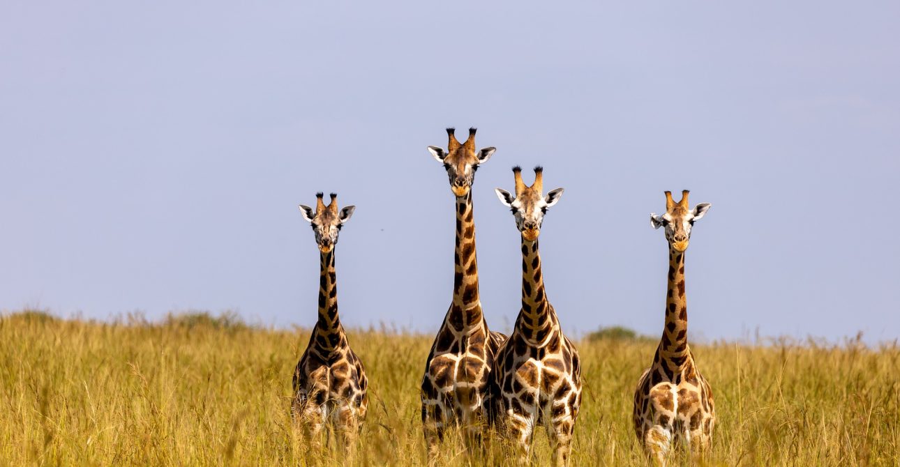 Arusha National Park