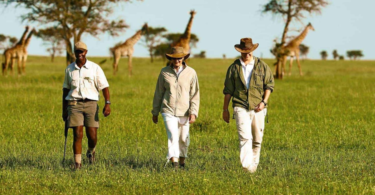 Experiencing the Extraordinary: A Typical Day on an African Safari with RedSand Safaris & Tours