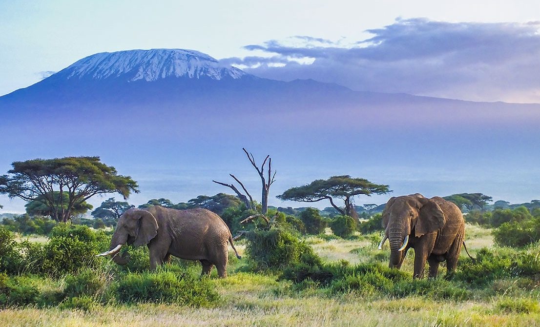 Kilimanjaro National Park