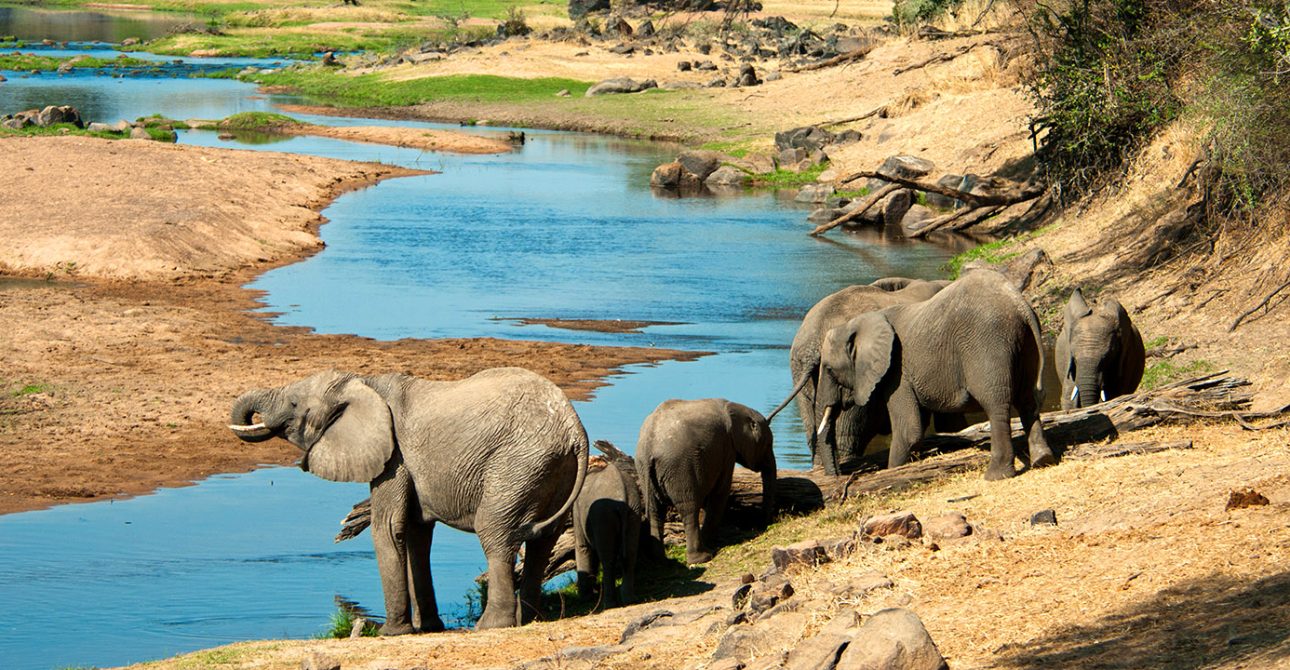 Ruaha National Park