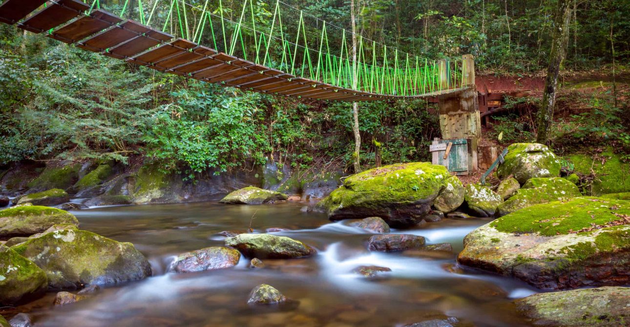 Udzungwa Mountain National Park