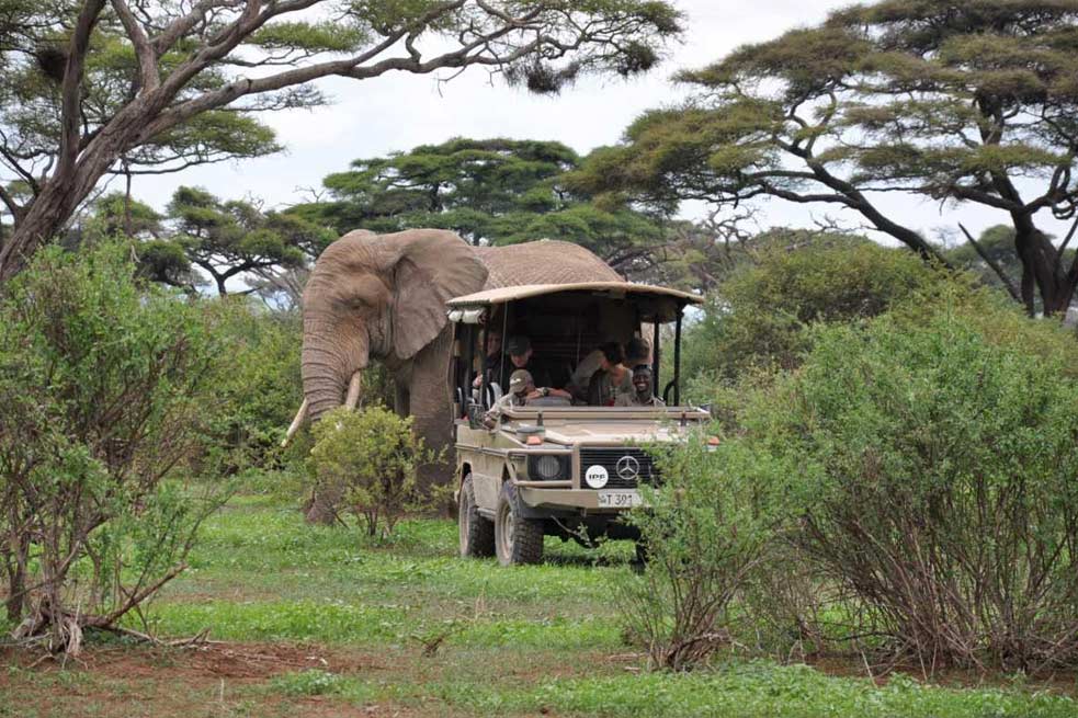 Creating Lasting Memories: Family-Friendly Safaris in Tanzania.